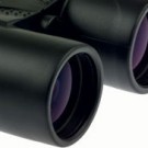 Gambit Shark 8x42